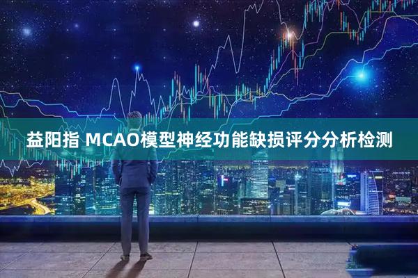 益阳指 MCAO模型神经功能缺损评分分析检测
