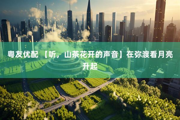 粤友优配 【听，山茶花开的声音】在弥渡看月亮升起