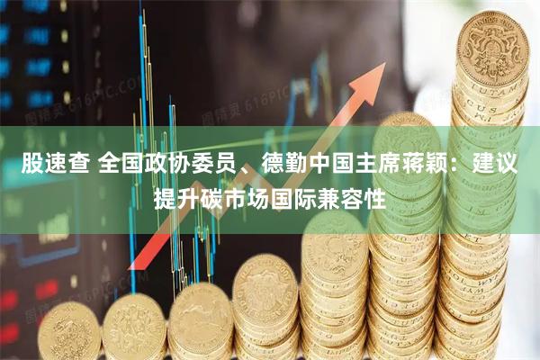 股速查 全国政协委员、德勤中国主席蒋颖：建议提升碳市场国际兼容性
